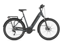 Gazelle Ultimate T10 HMB