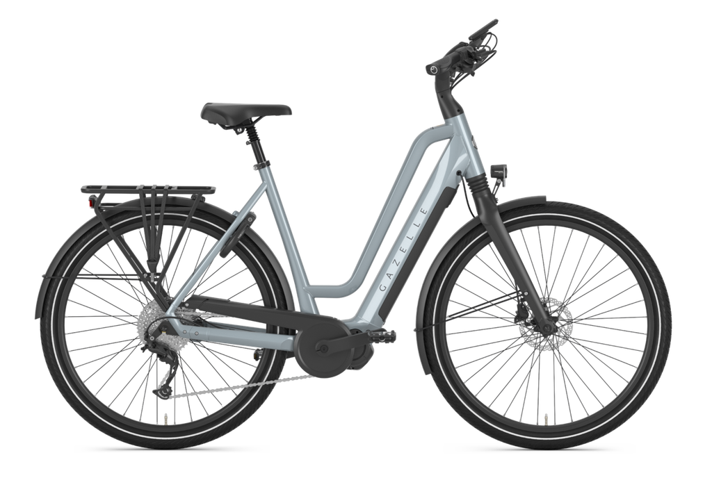 Gazelle Chamonix T10 HMS